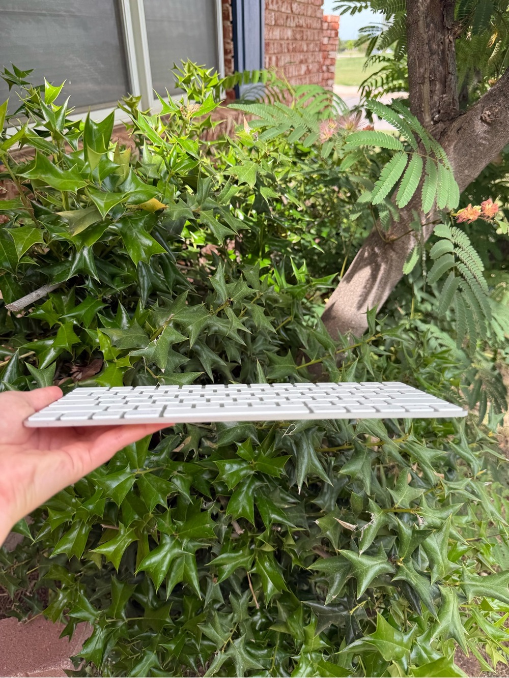 Apple Magic Keyboard - Picture 2 of 5